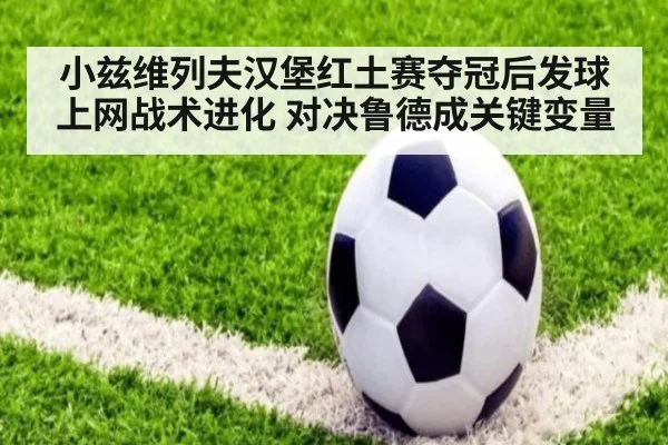小兹维列夫汉堡红土赛夺冠后发球上网战术进化 对决鲁德成关键变量 | jiuyou