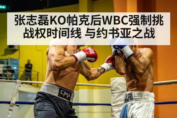 张志磊KO帕克后WBC强制挑战权时间线 与约书亚之战