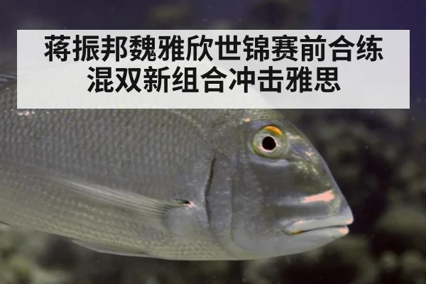蒋振邦魏雅欣世锦赛前合练 混双新组合冲击雅思